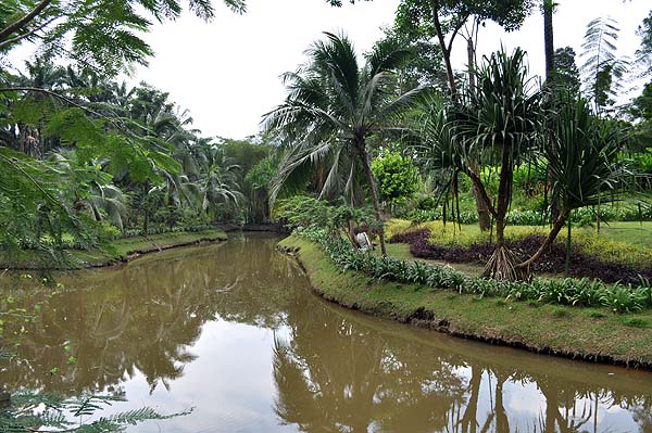 Sepilok Nature Resort