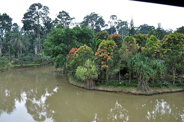 Sepilok Nature Resort