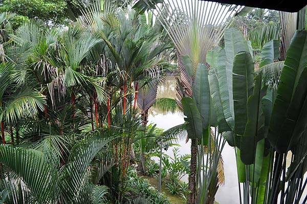 Sepilok Nature Resort