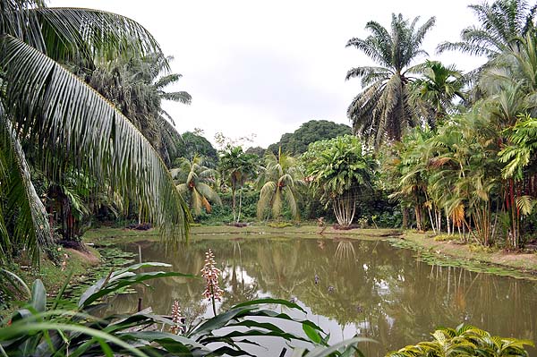 Sepilok Nature Resort