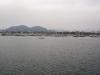 Alcudia