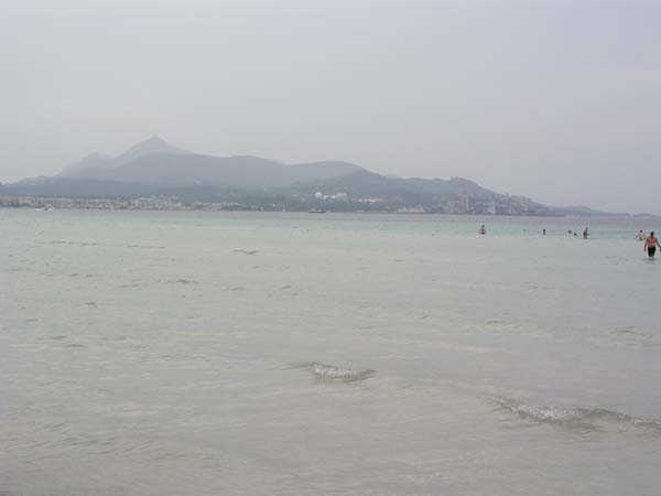 Alcudia