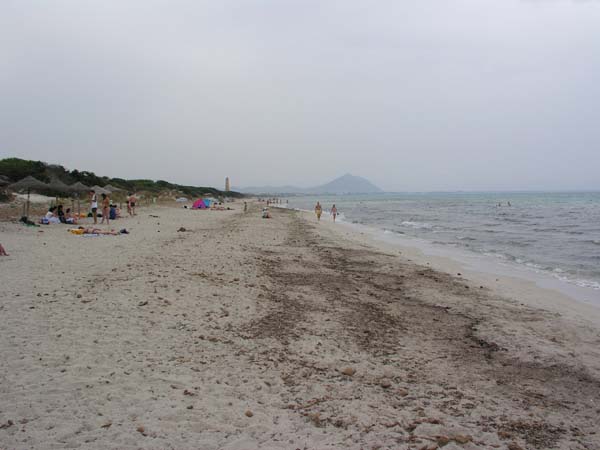 Alcudia