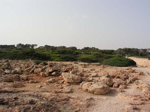 Cap de Salines