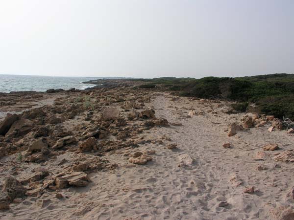 Cap de Salines