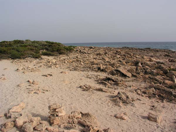 Cap de Salines