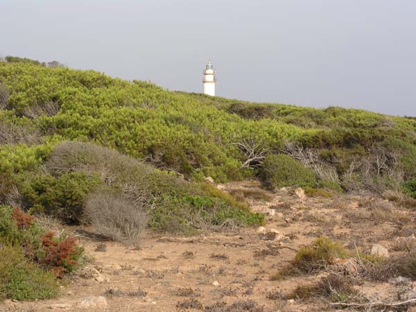 Cap de Salines