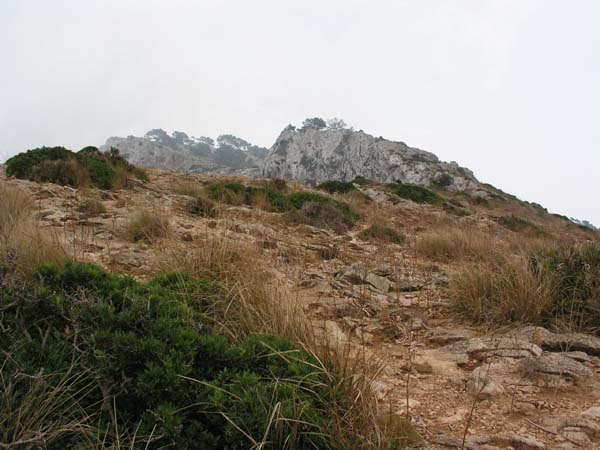 Formentor