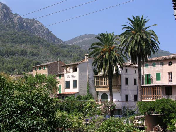 Soller