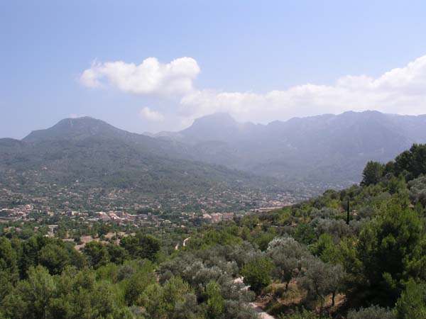 Soller