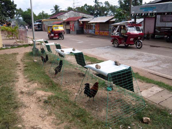 Ausflug Coron, Busuanga