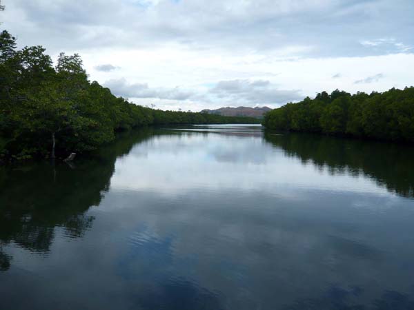 Club Paradise, Dimakya