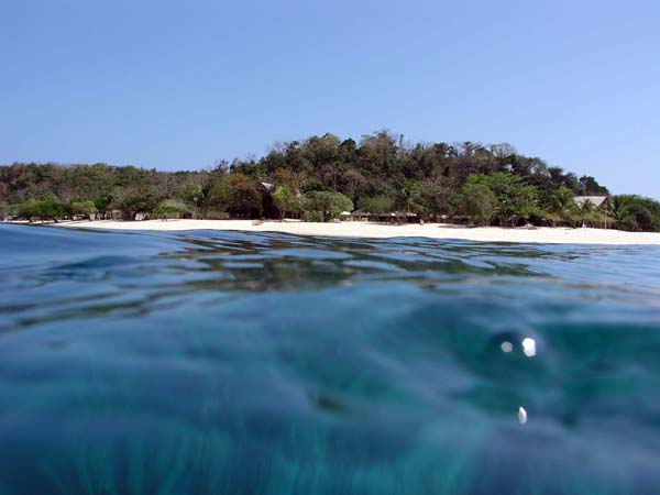 Club Paradise, Dimakya