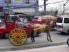 Manila
