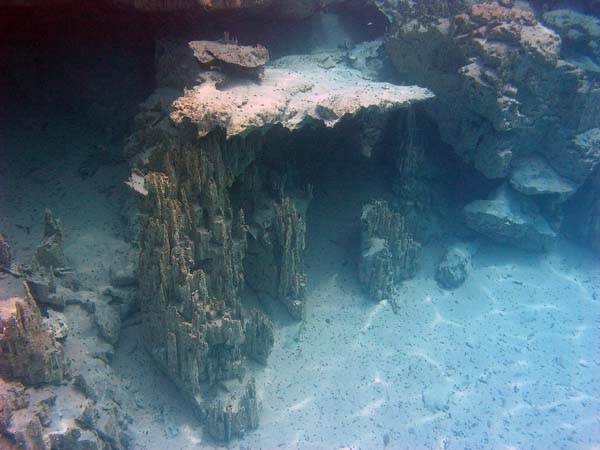 Unterwasserwelt, Dimakya