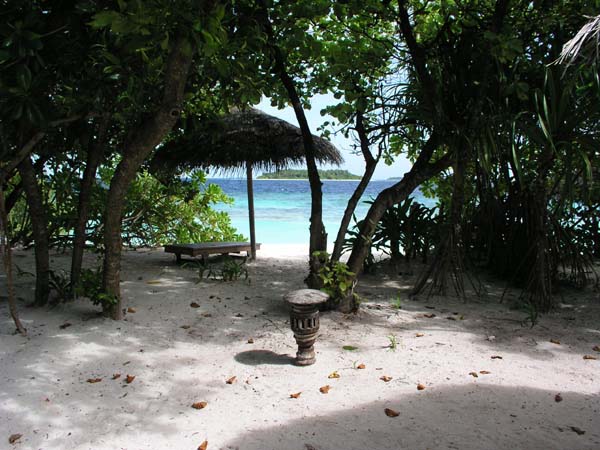 Inselaufnahmen Reethi Beach