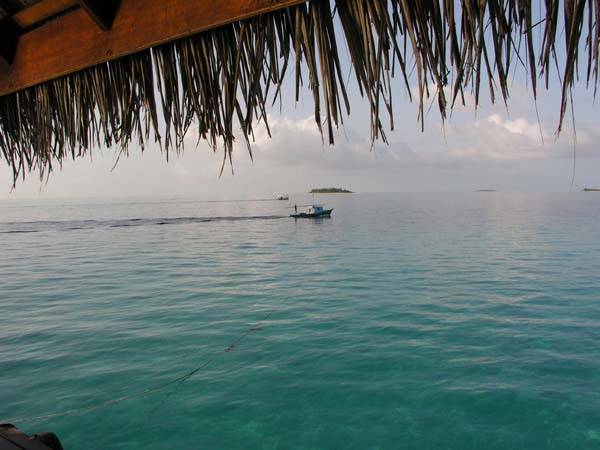 Inselaufnahmen Reethi Beach