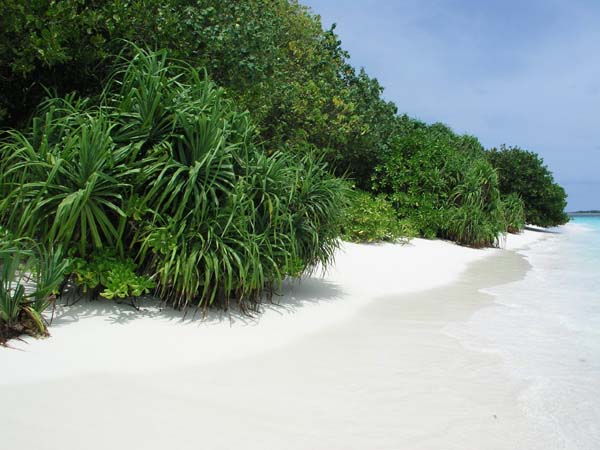 Inselaufnahmen Reethi Beach