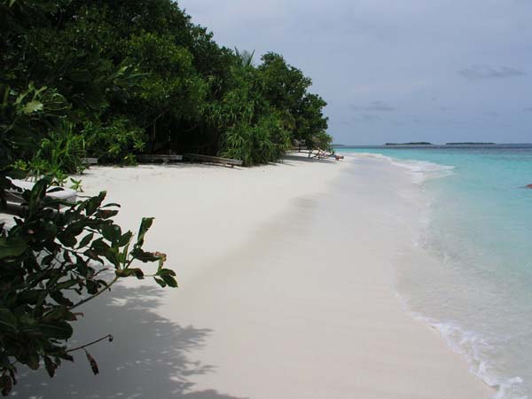 Inselaufnahmen Reethi Beach