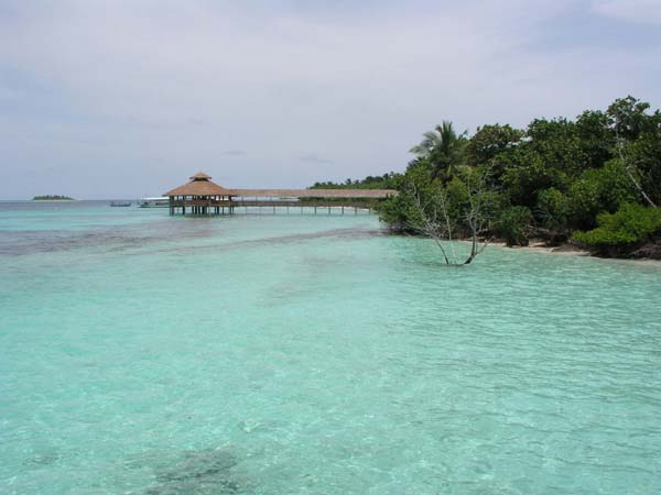 Inselaufnahmen Reethi Beach