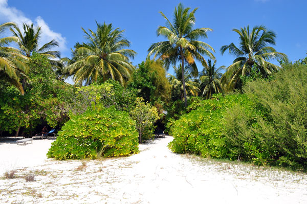 Inselaufnahmen Royal Island