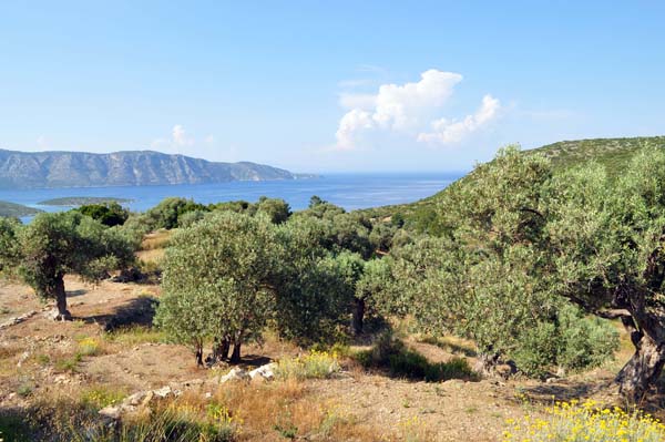 Samos
