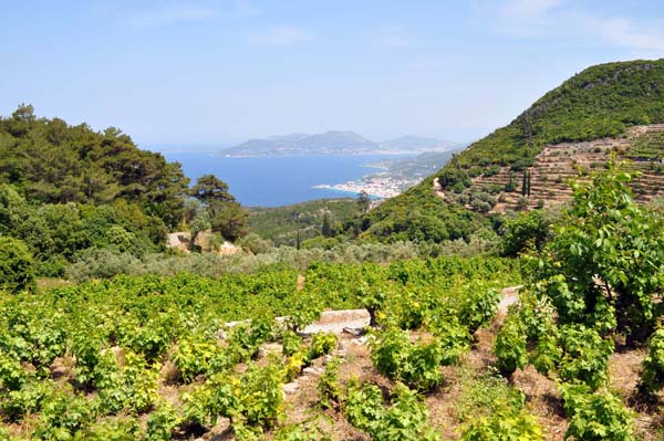 Samos