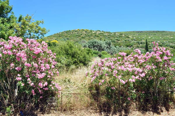 Samos