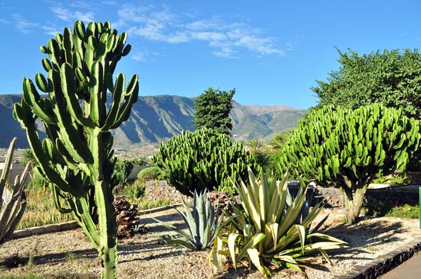 Teneriffa - Inselfotos