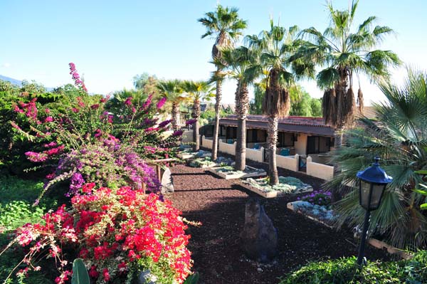 Teneriffa - Inselfotos