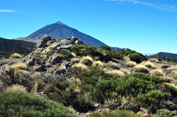 Teneriffa - Inselfotos