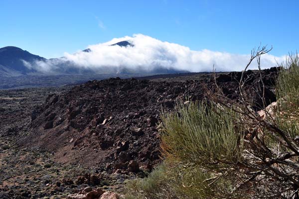 Teneriffa - Inselfotos