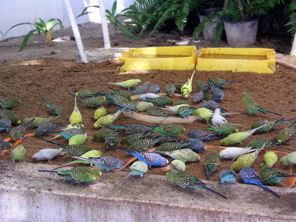 Inselaufnahmen Thulhagiri