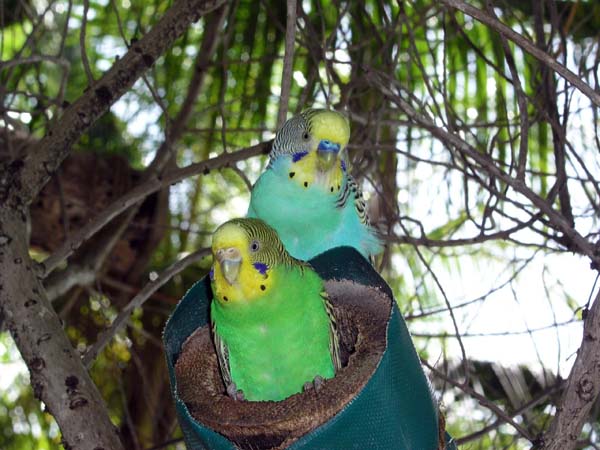 Inselaufnahmen Thulhagiri