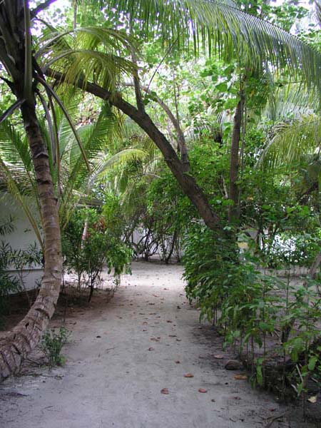 Inselaufnahmen Vakarufalhi