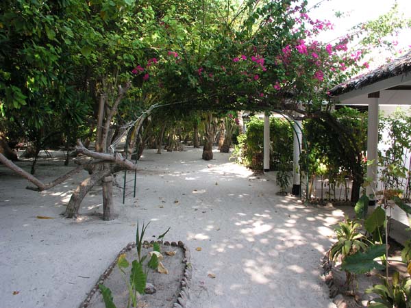 Inselaufnahmen Vilamendhoo