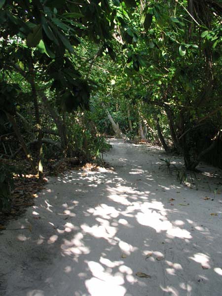 Inselaufnahmen Vilamendhoo