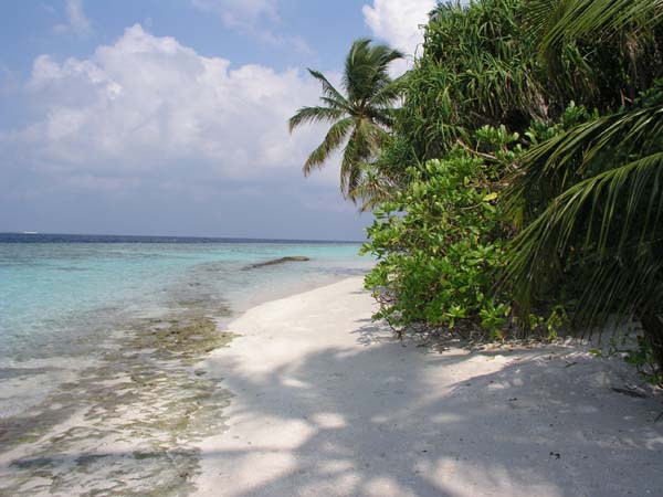 Inselaufnahmen Vilamendhoo