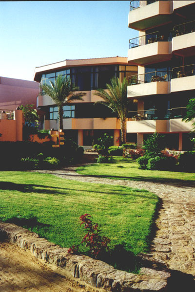 aegyp013.jpg