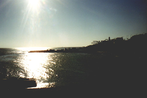 aegyp020.jpg
