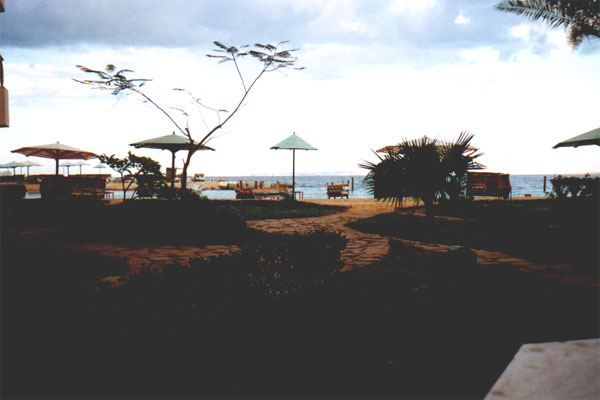 aegyp023.jpg