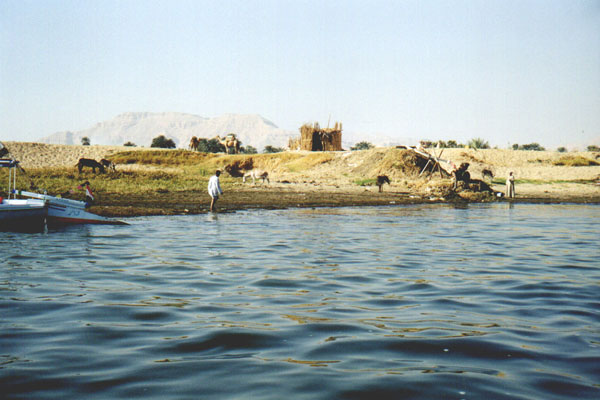 aegyp047.jpg