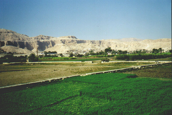 aegyp048.jpg