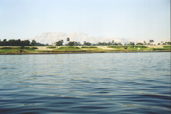aegyp049.jpg