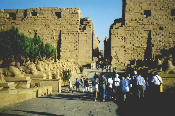 aegyp050.jpg