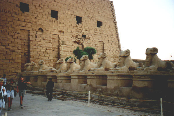 aegyp065.jpg
