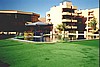 aegyp015.jpg