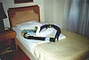 aegyp022.jpg