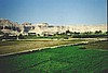 aegyp048.jpg