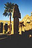 aegyp058.jpg